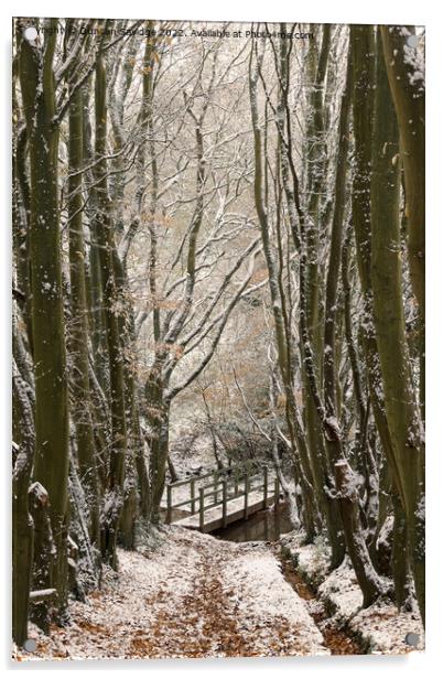 Bridge to Englishcombe village in the snow Acrylic by Duncan Savidge