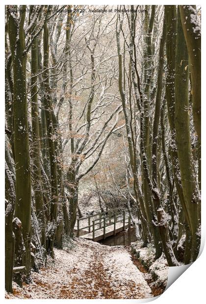 Bridge to Englishcombe village in the snow Print by Duncan Savidge