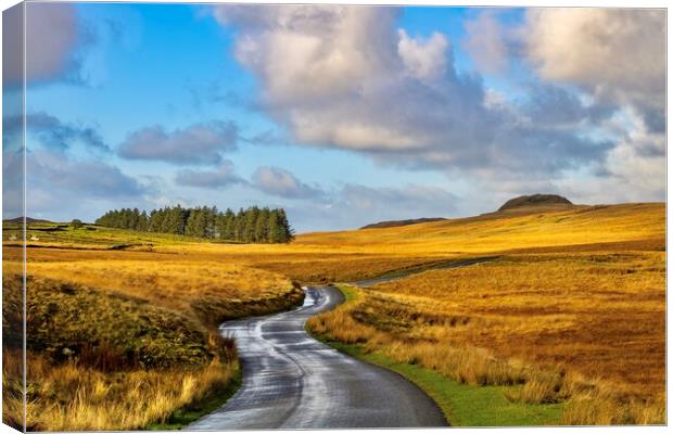 The road forward Canvas Print by Jack Marsden