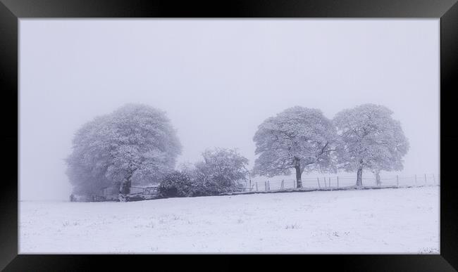 The Copse In Winter Framed Print by Phil Durkin DPAGB BPE4
