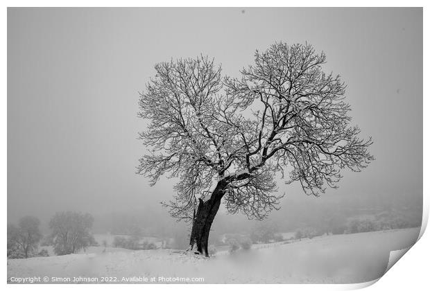 Plant tree Print by Simon Johnson