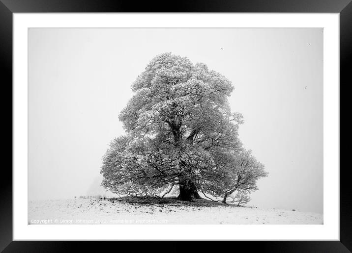Frosted tr Framed Mounted Print by Simon Johnson
