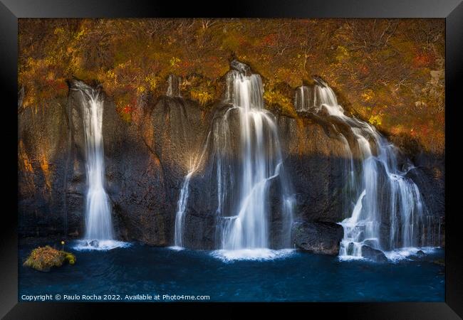 Hraunfossar waterfalls in autumn Framed Print by Paulo Rocha