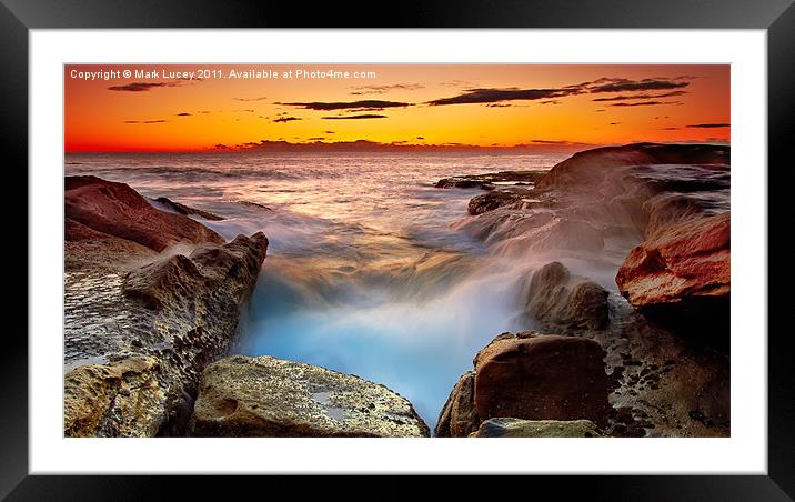 A Barnicle's Delight Framed Mounted Print by Mark Lucey