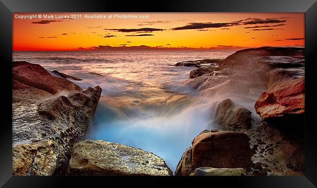 A Barnicle's Delight Framed Print by Mark Lucey