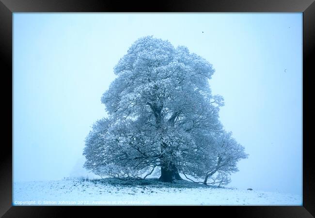 Frosted Tree Framed Print by Simon Johnson
