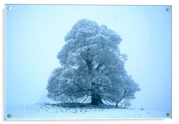 Frosted Tree Acrylic by Simon Johnson