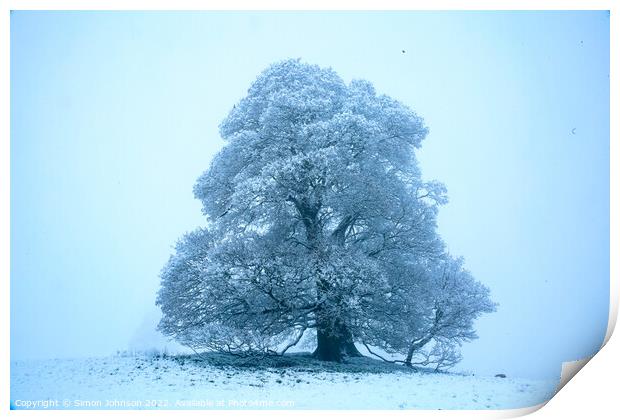 Frosted Tree Print by Simon Johnson