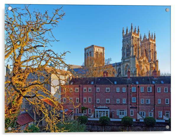 York Minster from City Wall Acrylic by Darren Galpin