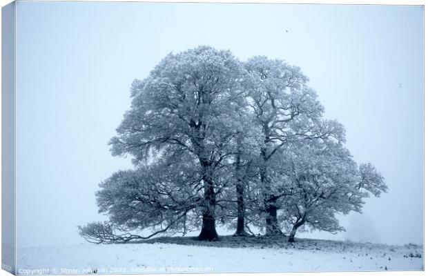 Trees in Snow Canvas Print by Simon Johnson