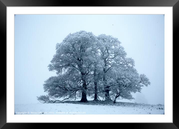 Trees in Snow Framed Mounted Print by Simon Johnson