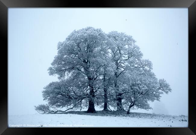 Trees in Snow Framed Print by Simon Johnson