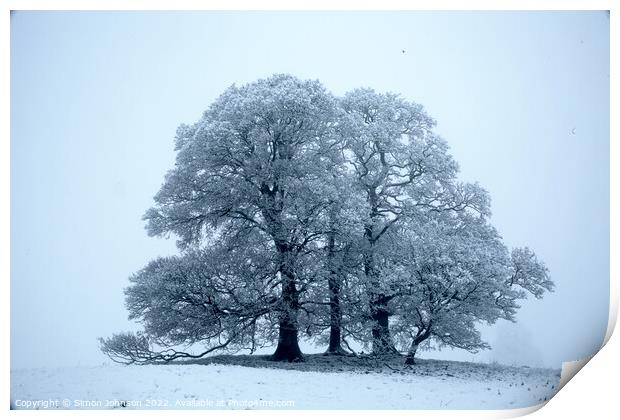 Trees in Snow Print by Simon Johnson