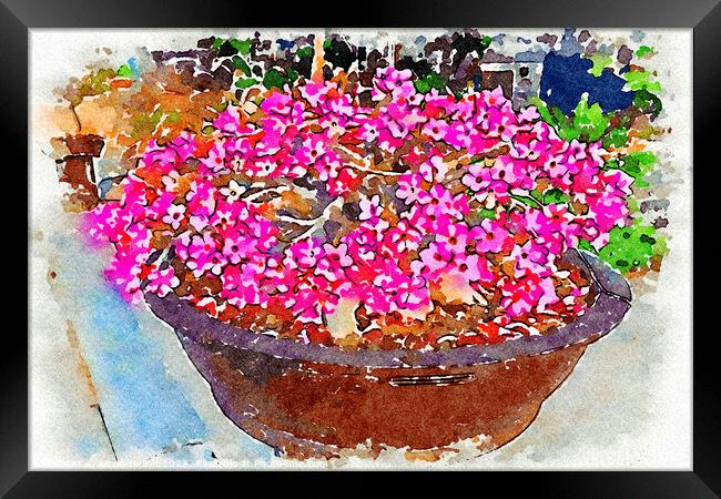Bowl of pink Adenium flowers - Digital watercolour Framed Print by Kevin Hellon