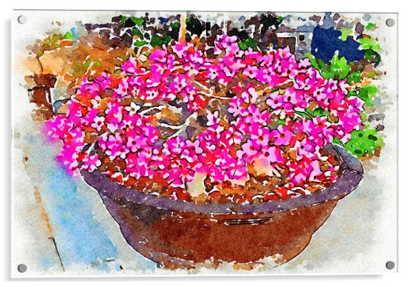 Bowl of pink Adenium flowers - Digital watercolour Acrylic by Kevin Hellon