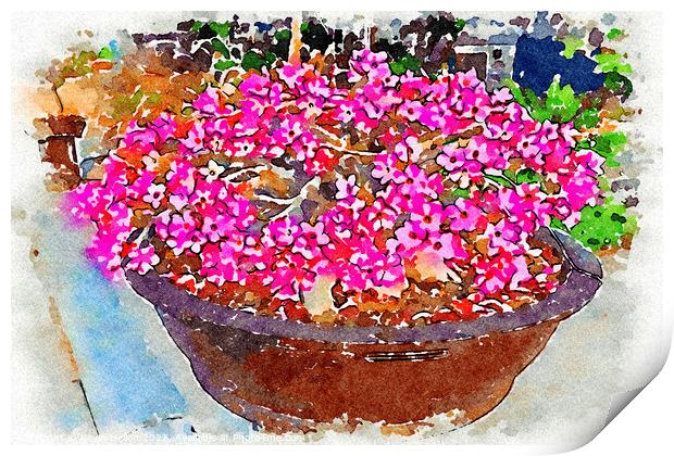 Bowl of pink Adenium flowers - Digital watercolour Print by Kevin Hellon