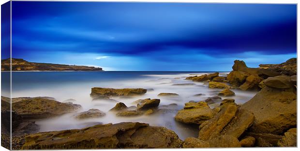 Patches of White Canvas Print by Mark Lucey