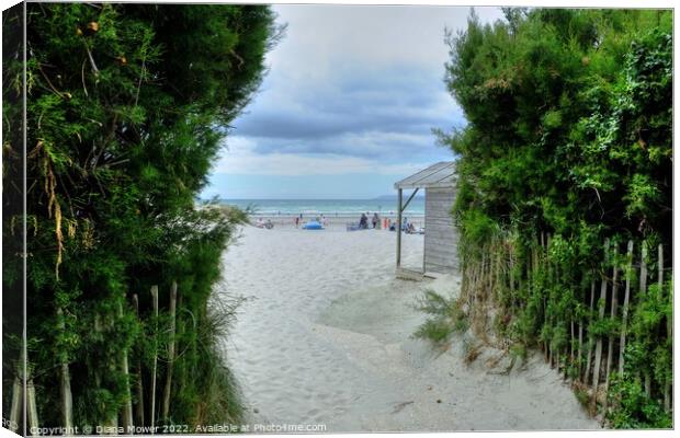 West Wittering Path to the beach  Canvas Print by Diana Mower