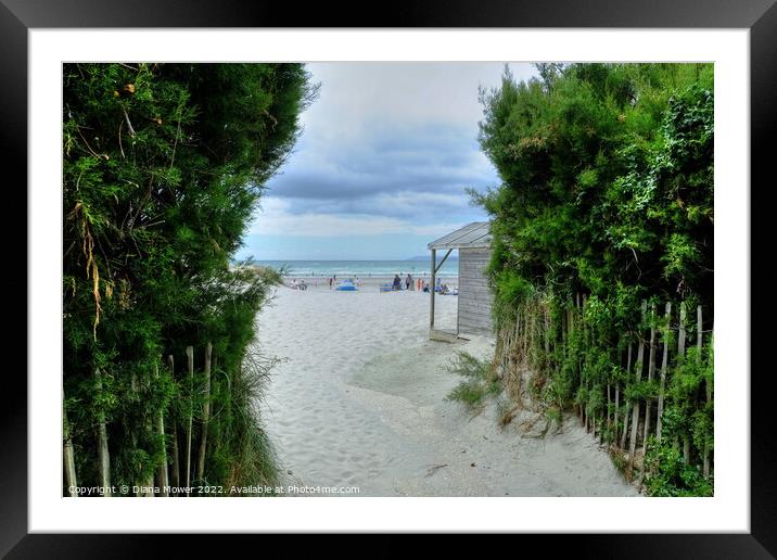 West Wittering Path to the beach  Framed Mounted Print by Diana Mower