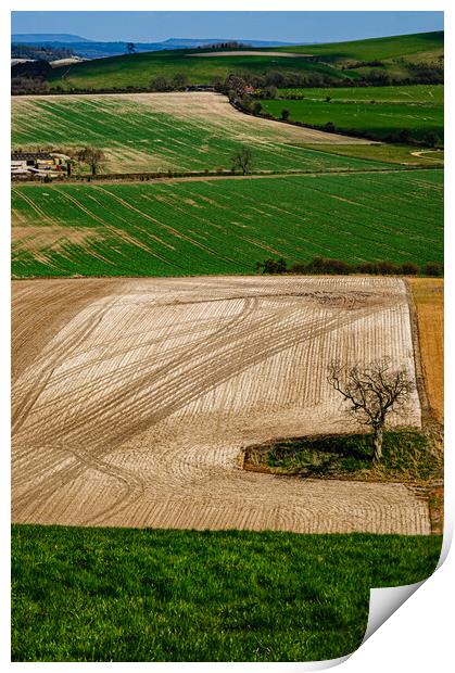 Chalk Lines Print by Gerry Walden LRPS