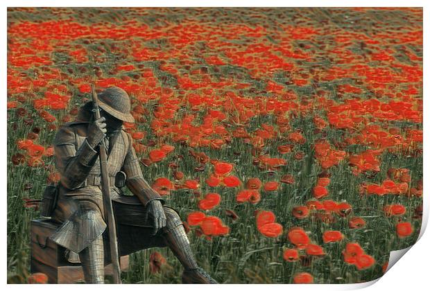 soldier in a  poppy field  Print by kathy white