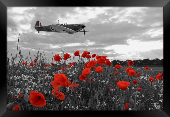 Spitfire Poppy Fields Framed Print by J Biggadike