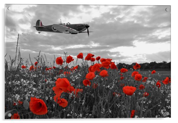 Spitfire Poppy Fields Acrylic by J Biggadike