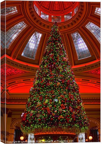 Tree At The Dome Canvas Print by Lynne Morris (Lswpp)