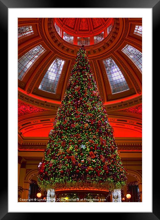 Tree At The Dome Framed Mounted Print by Lynne Morris (Lswpp)