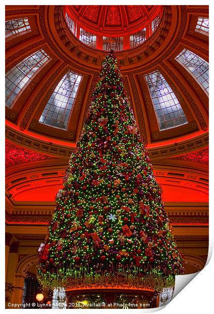 Tree At The Dome Print by Lynne Morris (Lswpp)