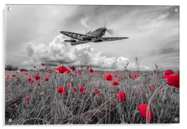 NHS Tribute Fly Past Acrylic by J Biggadike