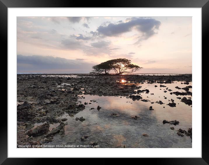 Single tree at Gili Trawangan beach Framed Mounted Print by Hanif Setiawan
