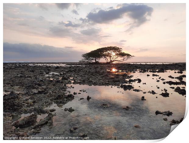 Single tree at Gili Trawangan beach Print by Hanif Setiawan