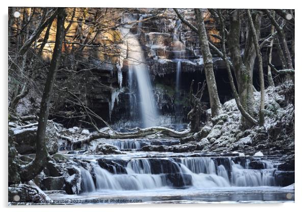 Summerhill Force in Winter, Bowlees, Teesdale, County Durham, UK Acrylic by David Forster