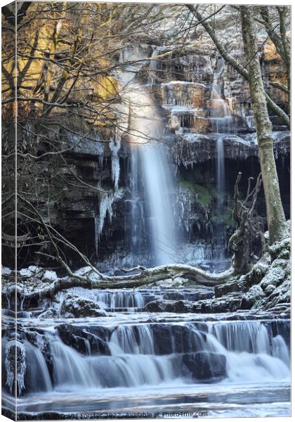Summerhill Force in Winter, Bowlees, Teesdale, County Durham, UK Canvas Print by David Forster