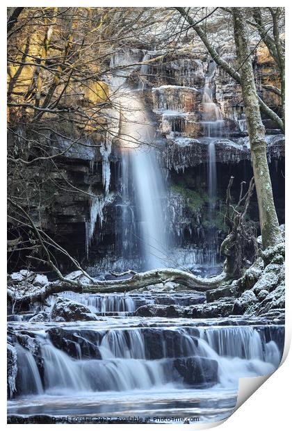 Summerhill Force in Winter, Bowlees, Teesdale, County Durham, UK Print by David Forster