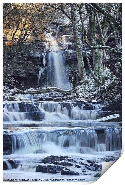 Summerhill Force in Winter, Bowlees, Teesdale, County Durham, UK Print by David Forster