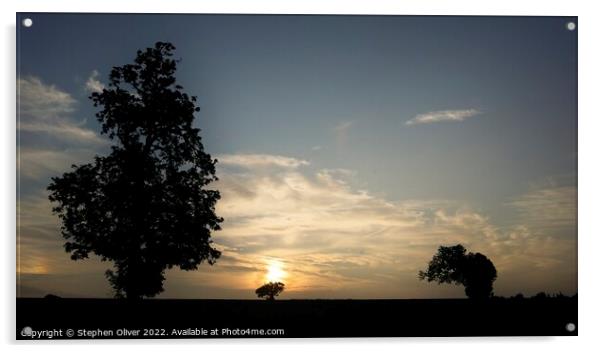 Hertfordshire Sunset Acrylic by Stephen Oliver