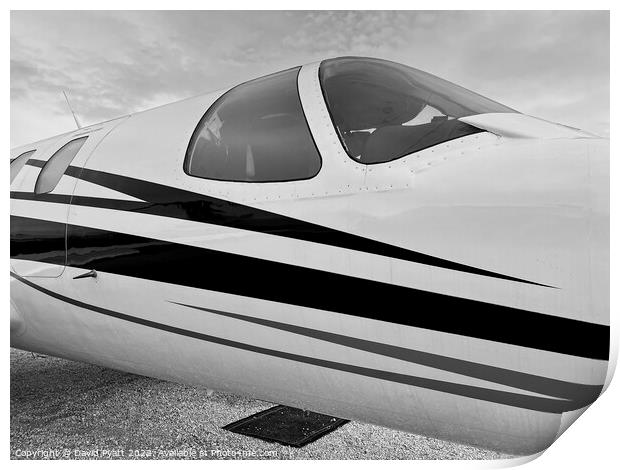 Private Jet Canopy  Print by David Pyatt