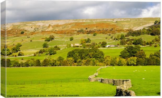 English Country Landscape Swaledale Yorkshire Dale Canvas Print by Pearl Bucknall