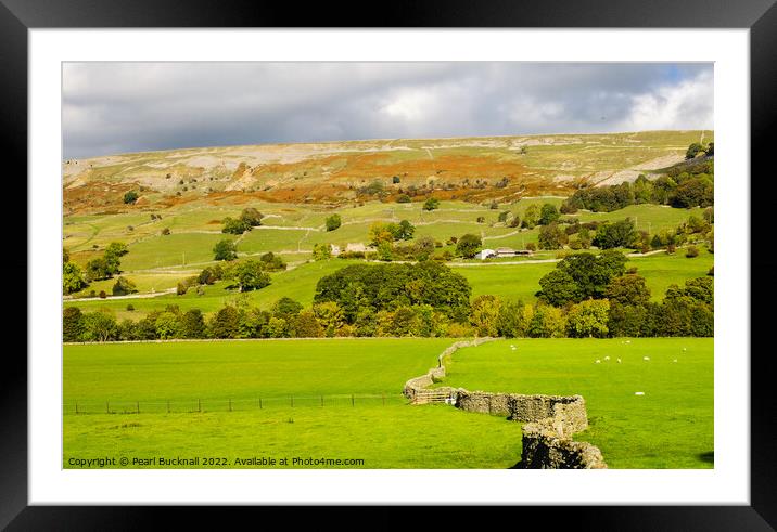 English Country Landscape Swaledale Yorkshire Dale Framed Mounted Print by Pearl Bucknall