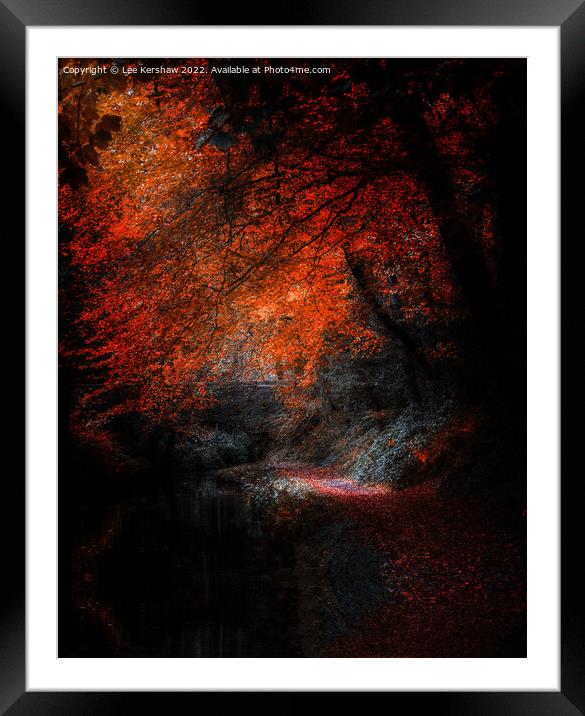 "Autumn's Glowing Pathway" Framed Mounted Print by Lee Kershaw