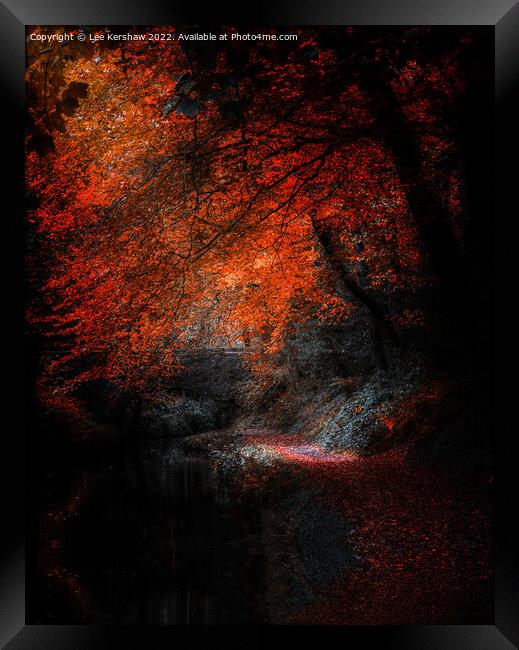"Autumn's Glowing Pathway" Framed Print by Lee Kershaw