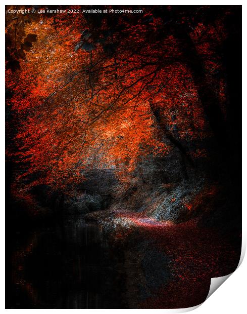 "Autumn's Glowing Pathway" Print by Lee Kershaw