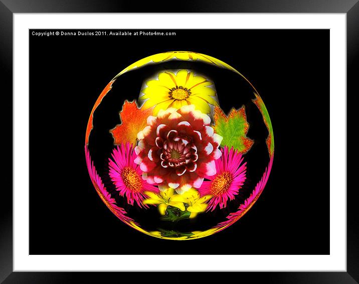 Flower Sphere Framed Mounted Print by Donna Duclos