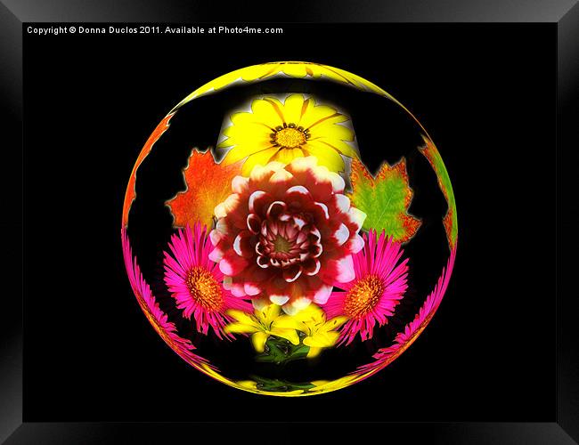 Flower Sphere Framed Print by Donna Duclos