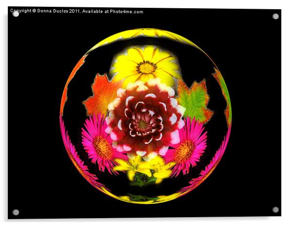 Flower Sphere Acrylic by Donna Duclos
