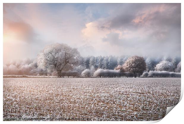 Frosty winter rural landscape at sunrise Norfolk Print by Simon Bratt LRPS