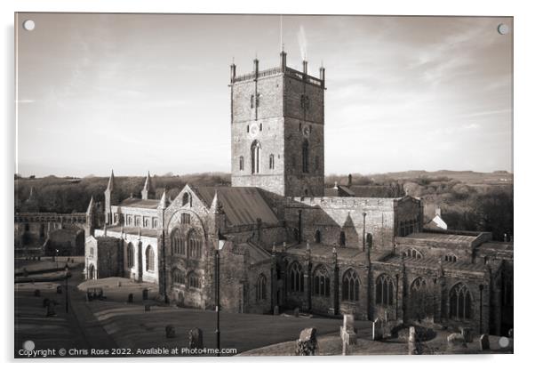 St Davids Cathedral Acrylic by Chris Rose