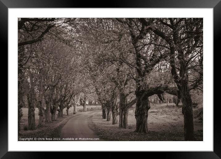 Cotswolds-autumn lane Framed Mounted Print by Chris Rose